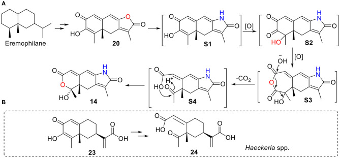 Figure 19