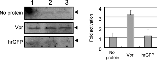 FIG. 5.