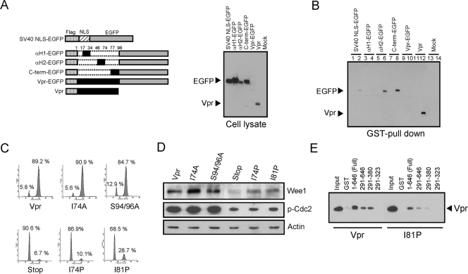 FIG. 6.