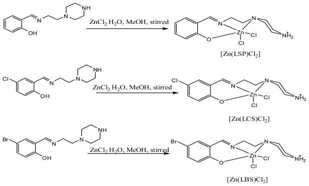 Scheme 2