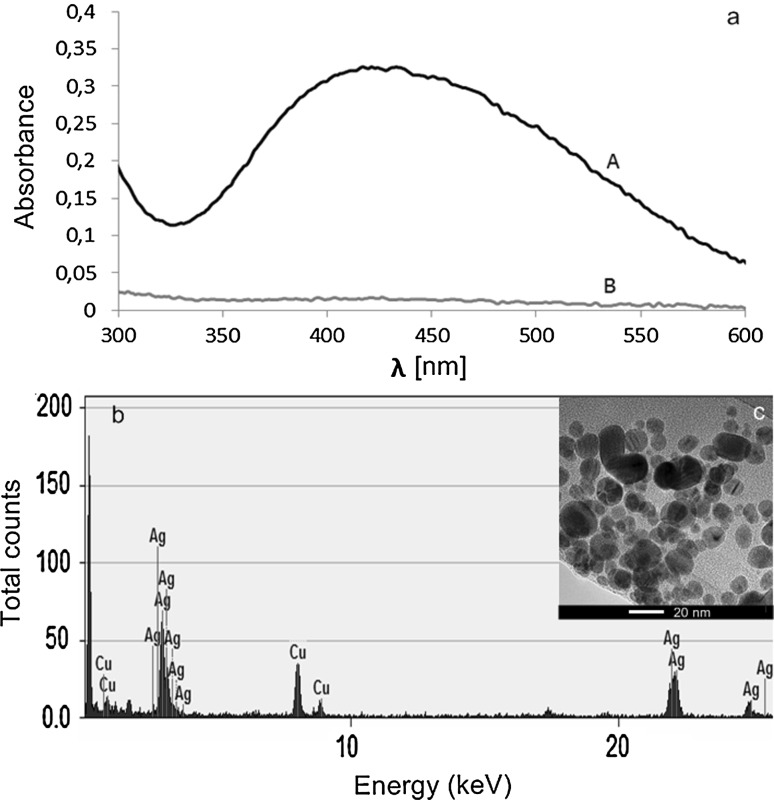 Fig. 1