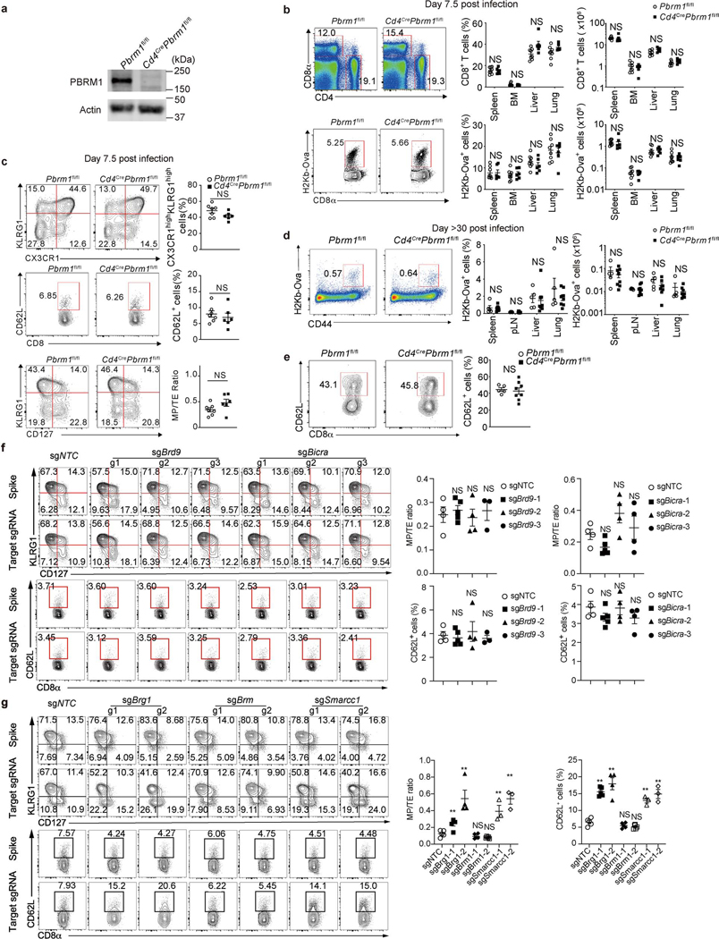 Extended Data Figure 3.