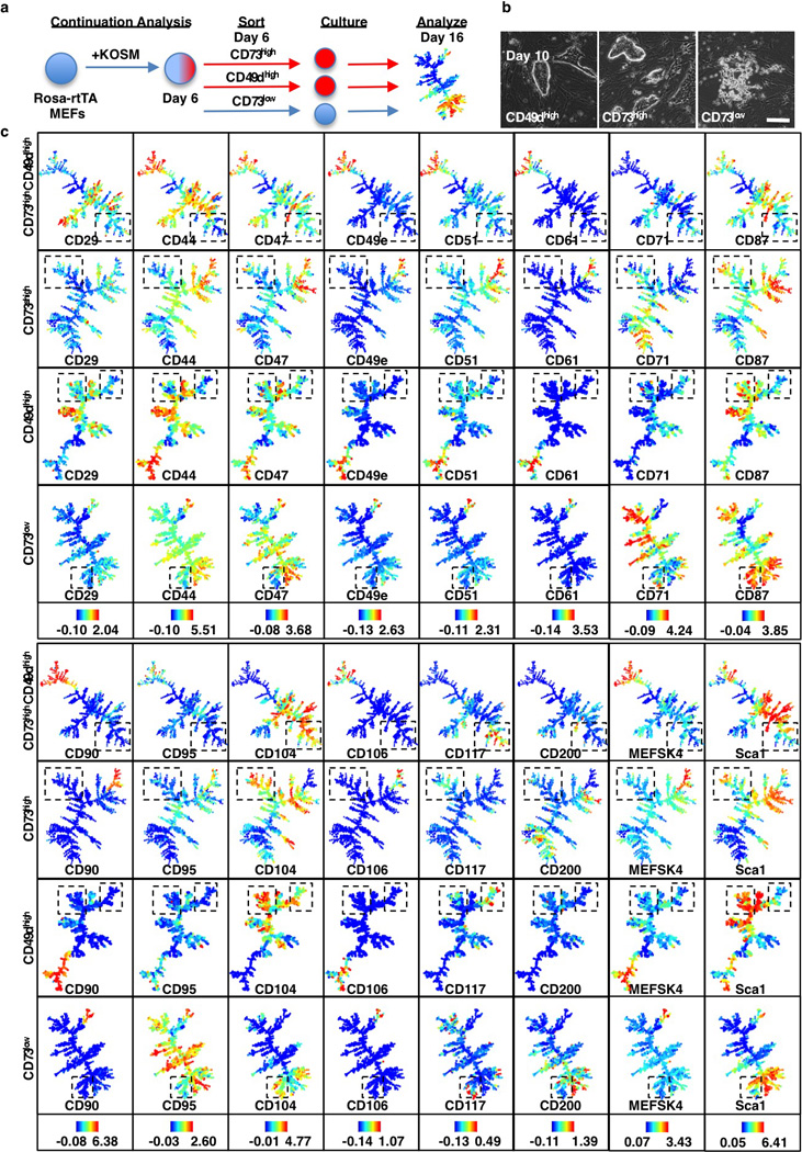 Extended Data Figure 5