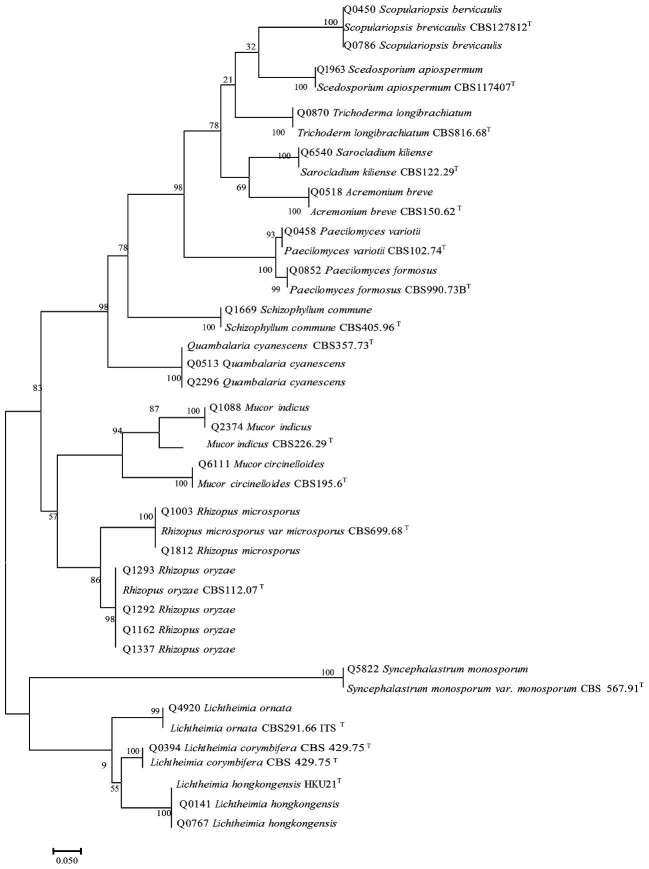 Figure 4.