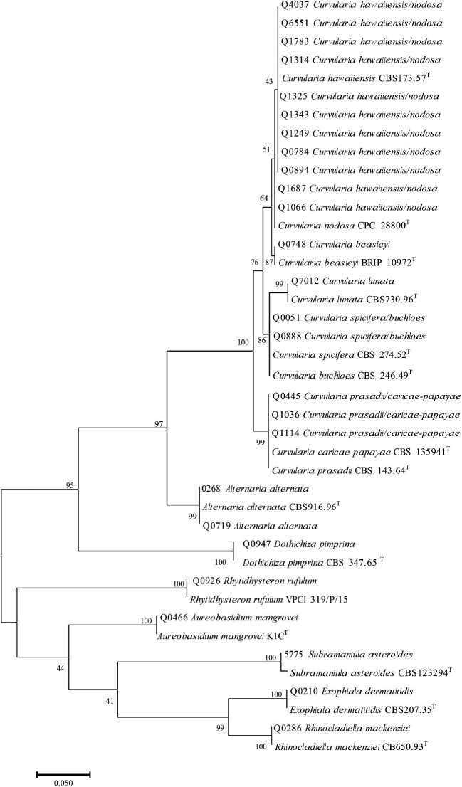 Figure 3.