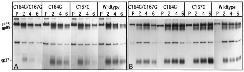 FIG. 3