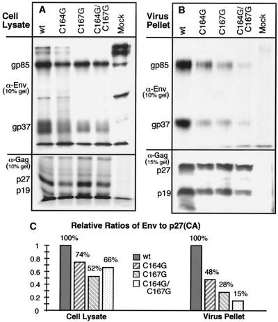 FIG. 7