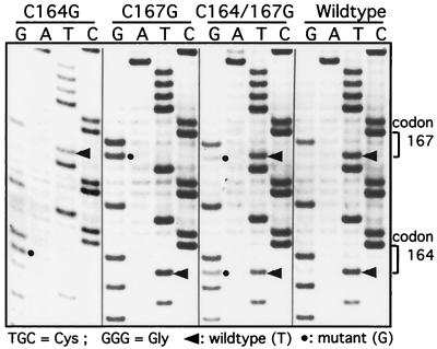 FIG. 6