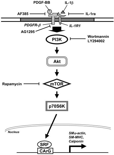 Fig. 8.