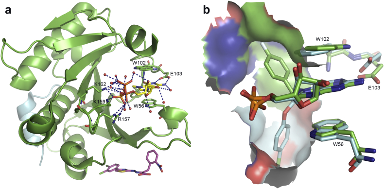 Fig. 1