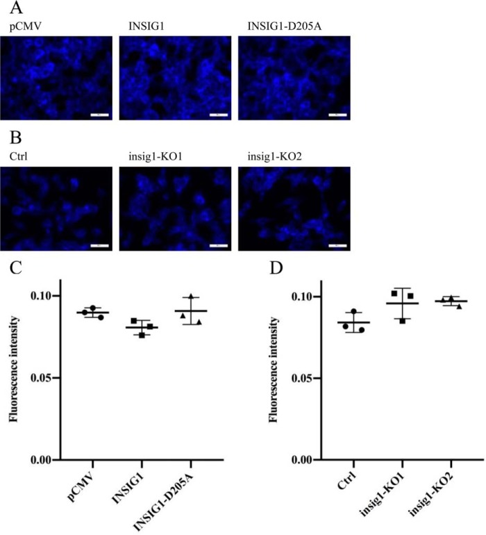 Figure 11.