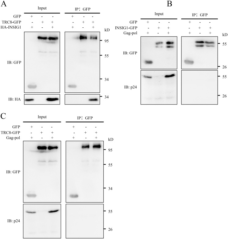 Figure 10.