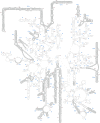 Figure 8.