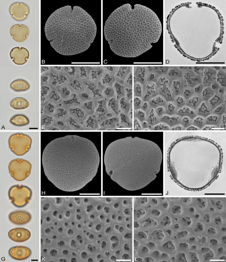 Fig. 4