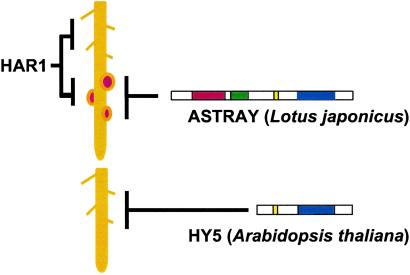 Fig 5.