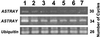 Fig 4.