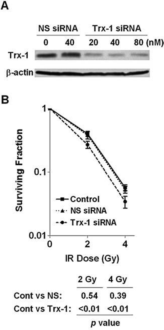 FIG. 7