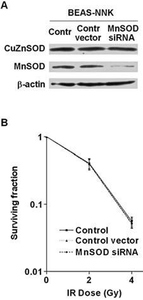 FIG. 6