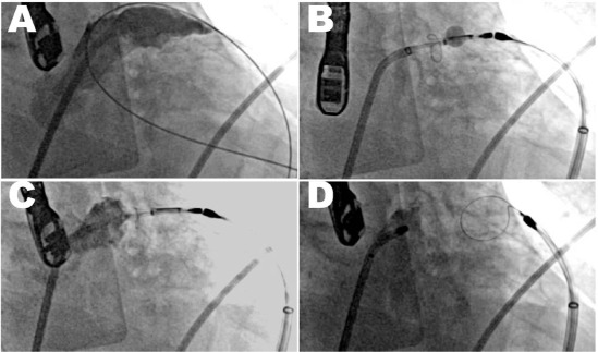 Figure 3.