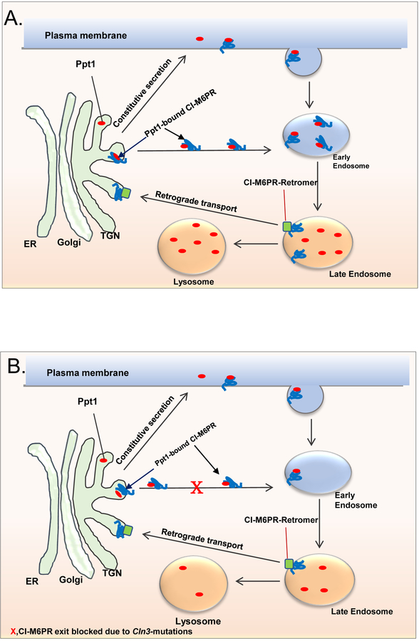 Figure 1: