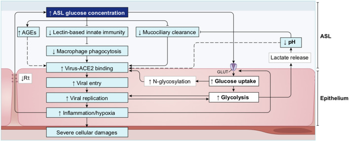 Figure 20