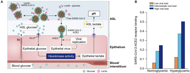 Figure 21