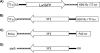 FIG. 1.