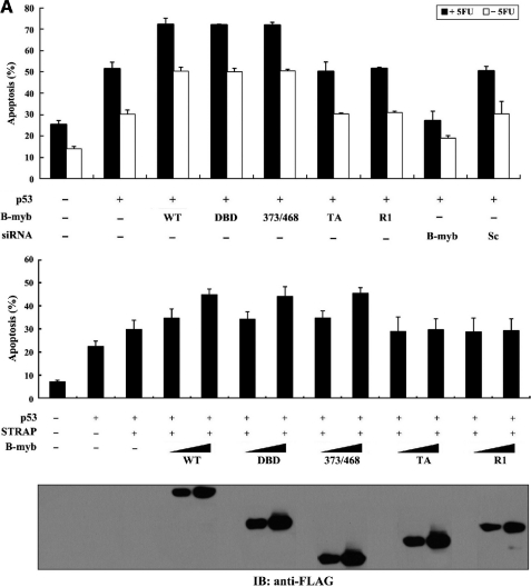 FIGURE 10.