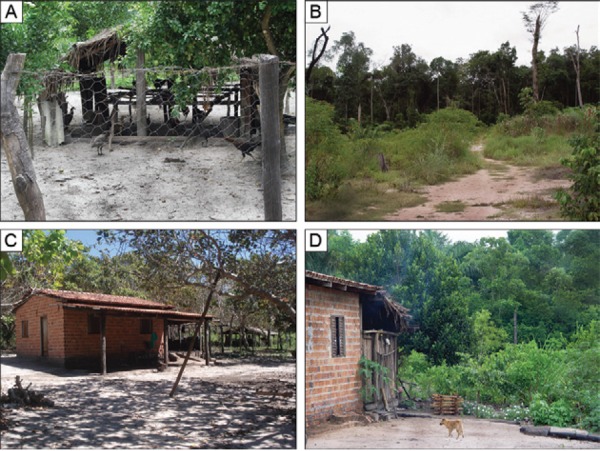 Monitoring stations (MS) in rural settlement area, Agricultural
Project Pedra Branca, municipality of Guaraí, state of Tocantins,
Brazil. A, B: MS 1; C, D: MS 2.