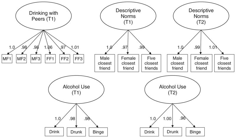 Fig. 1