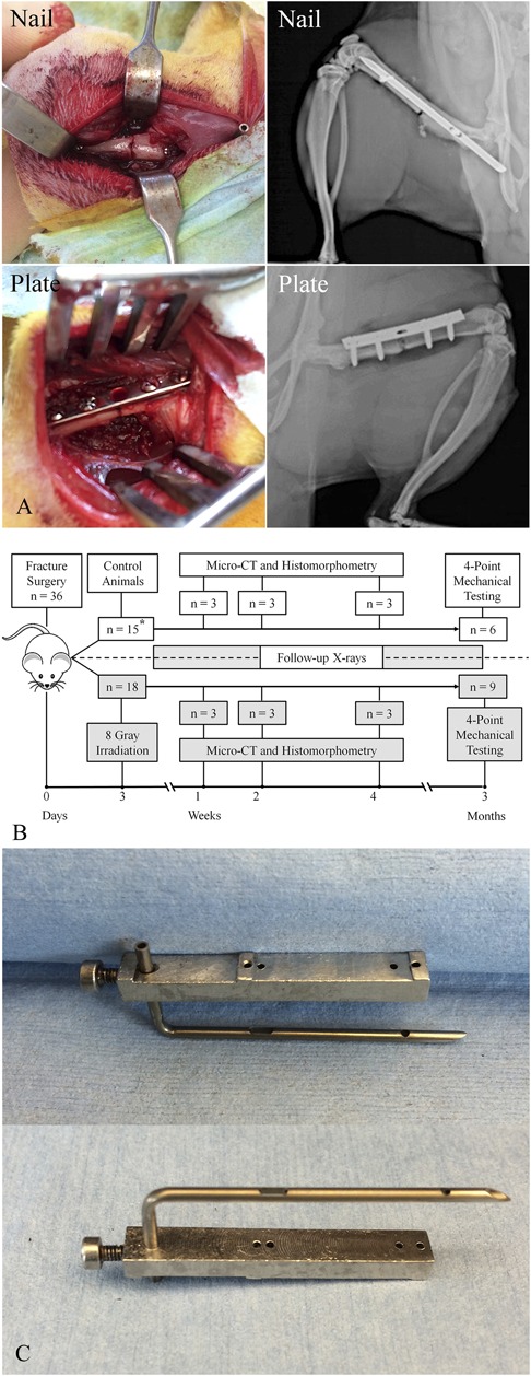 Fig. 1 A-C