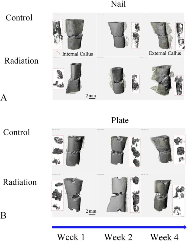 Fig. 2 A-B