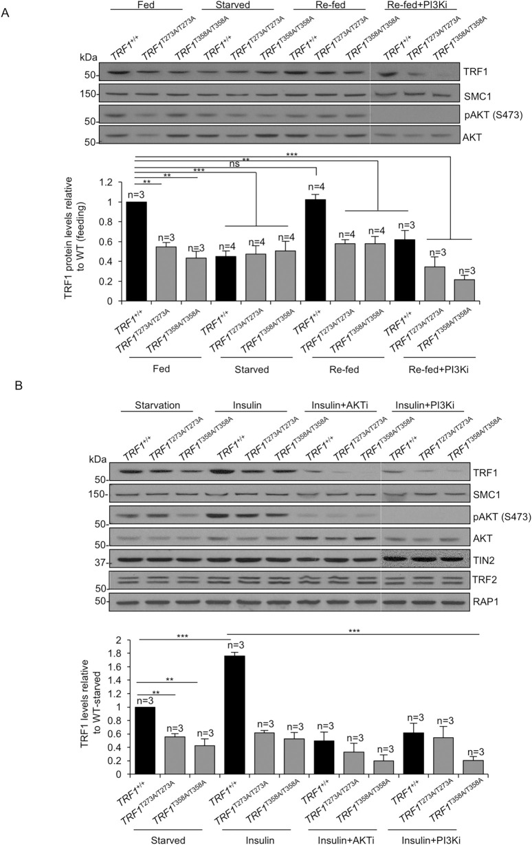 Fig 7