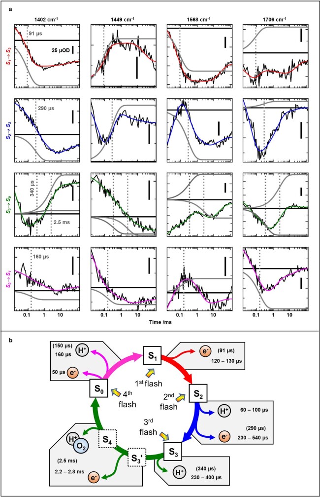 Extended Data Fig. 2