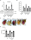 Fig 10