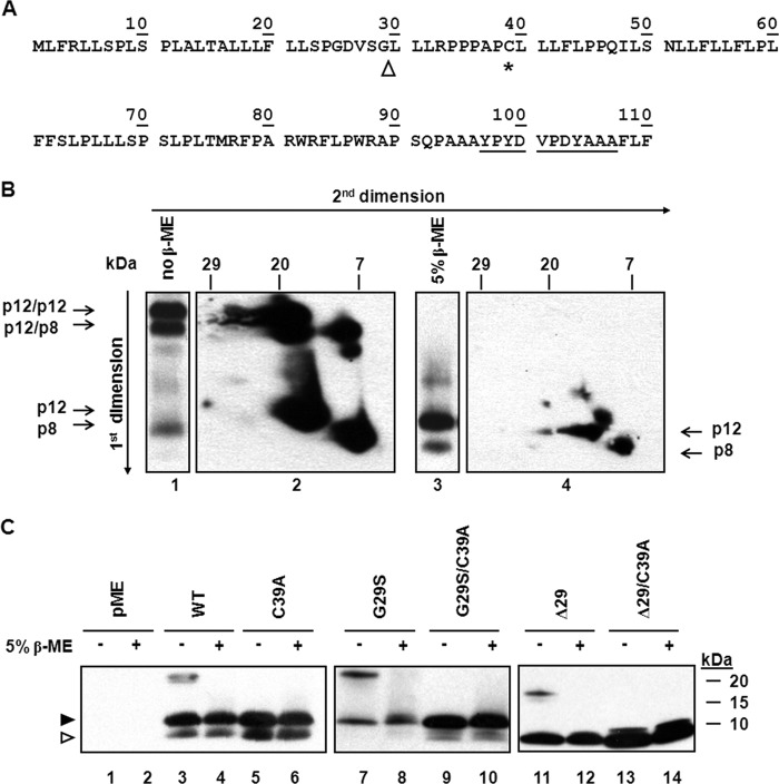 FIG 1