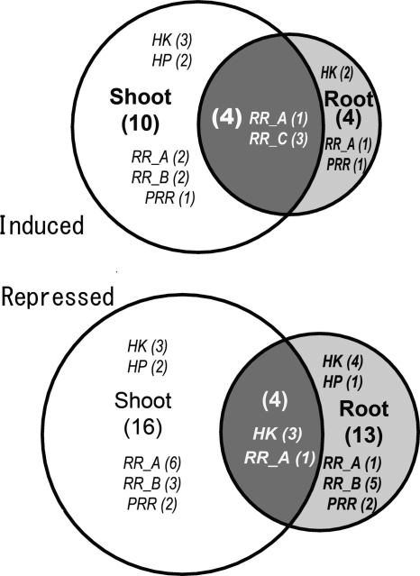 Figure 4.