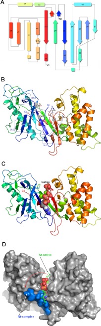 FIGURE 3.