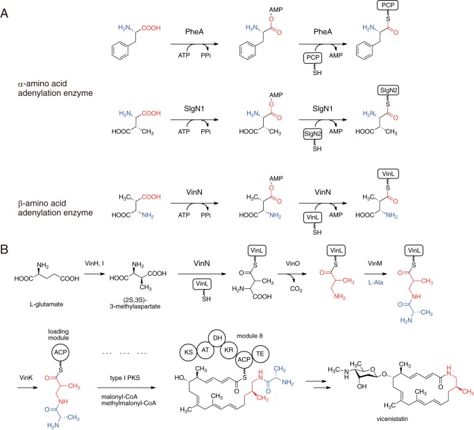 FIGURE 1.