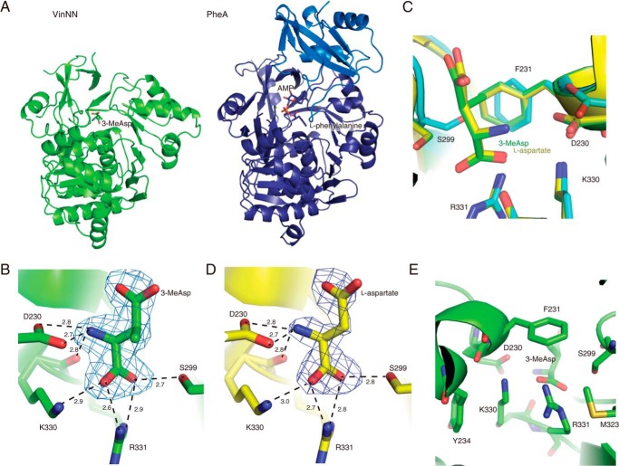 FIGURE 2.