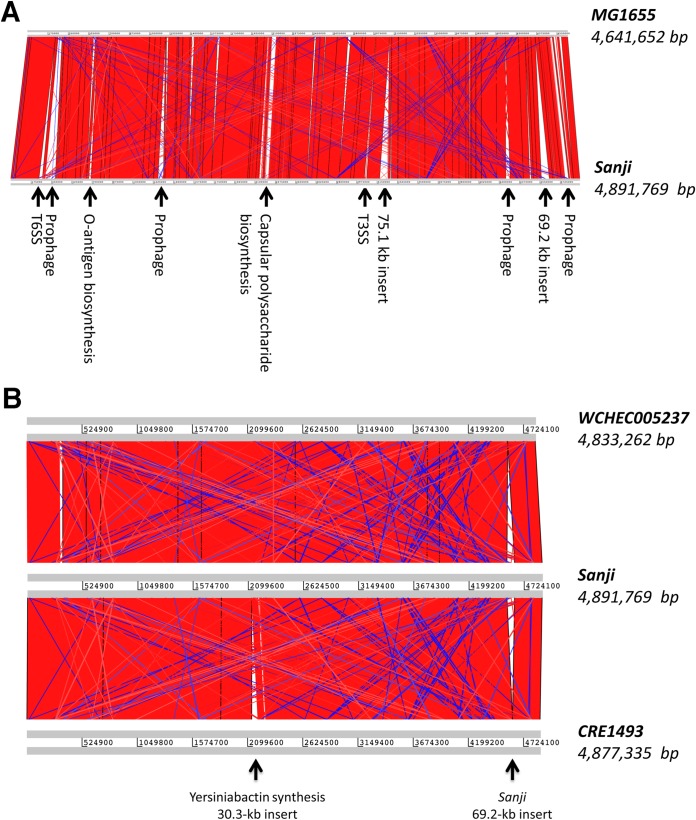 FIG 3