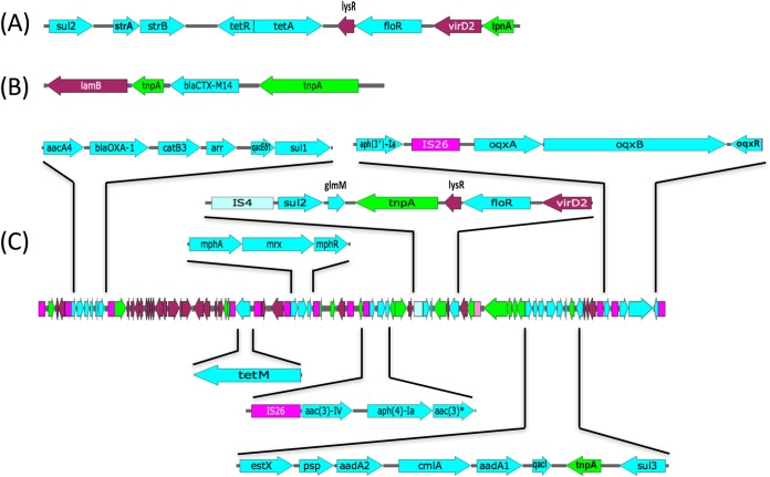 FIG 2