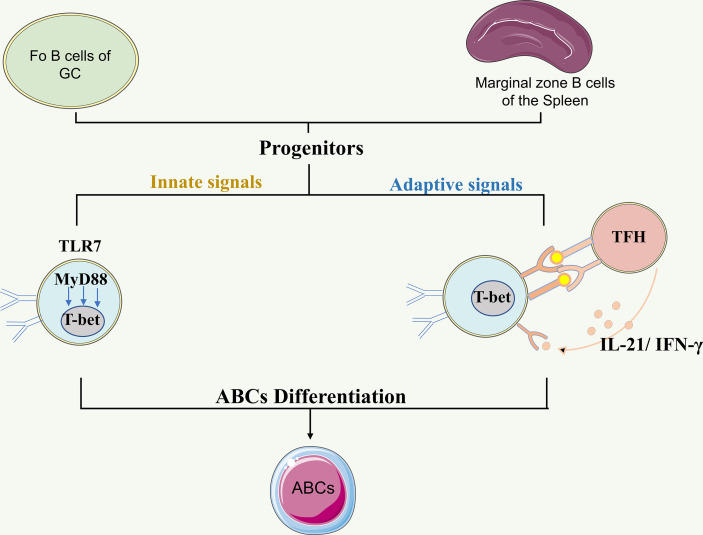 Figure 1