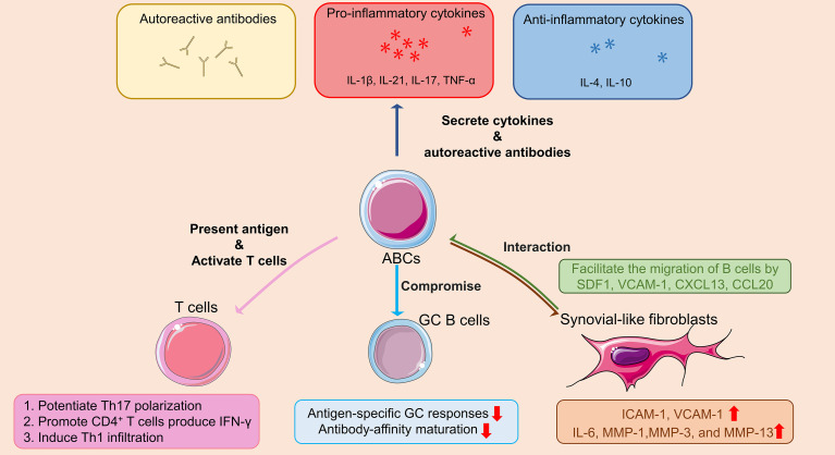 Figure 2