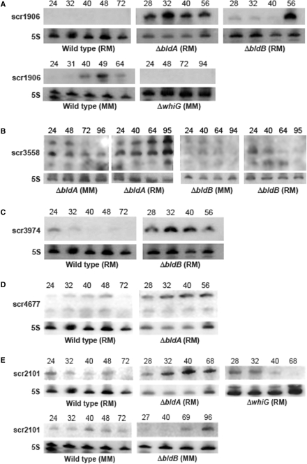 Figure 4.