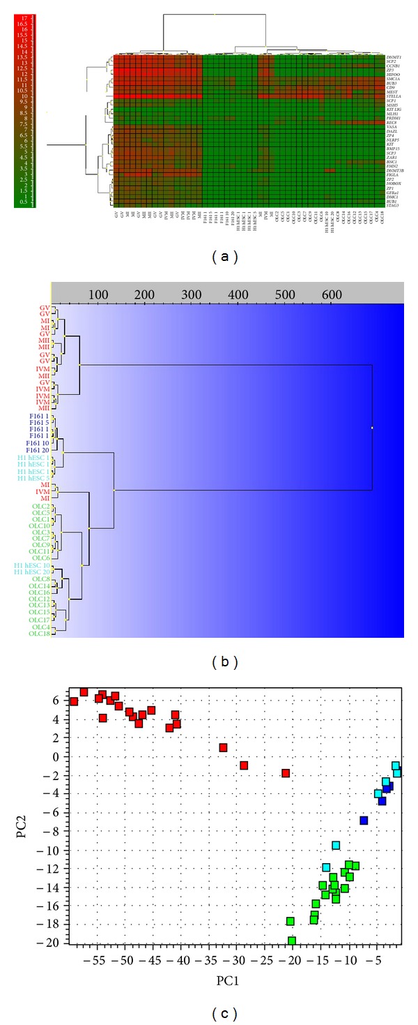 Figure 7