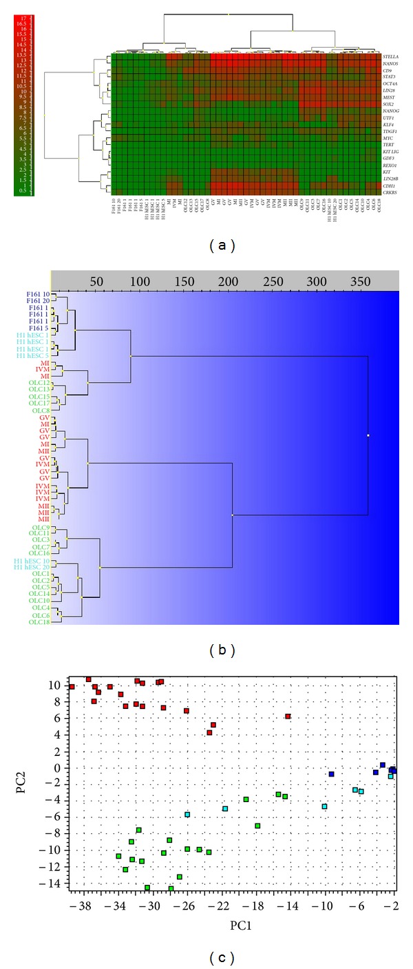 Figure 5