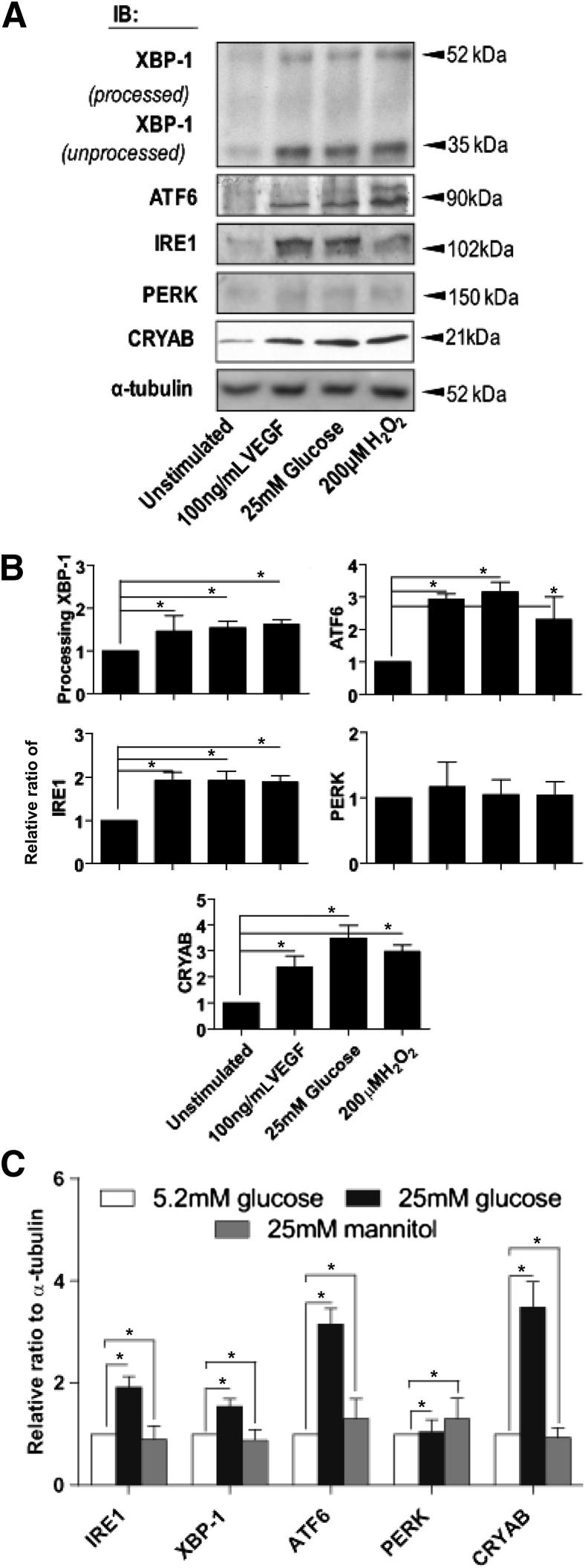 Figure 1