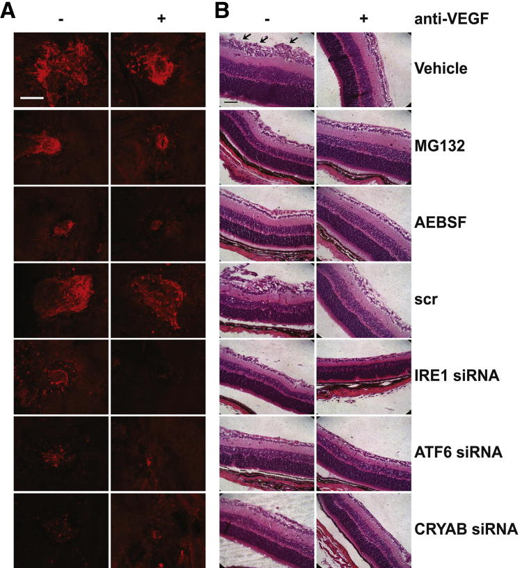 Figure 7