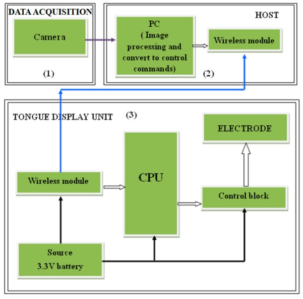 Figure 11